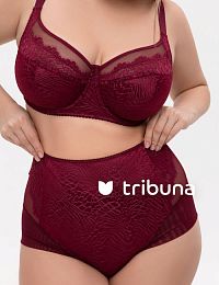 Трусы женские Tribuna TV7807-1537