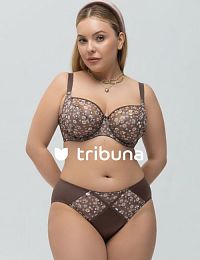 Трусы женские Tribuna TN6431-1546