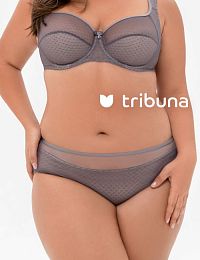 Трусы женские Tribuna TV4148-1504